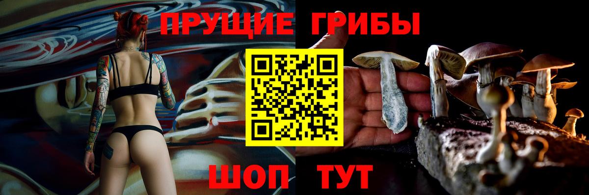 Галлюциногенные грибы Cubensis  купить закладку  Ефремов  Вход с VPN 